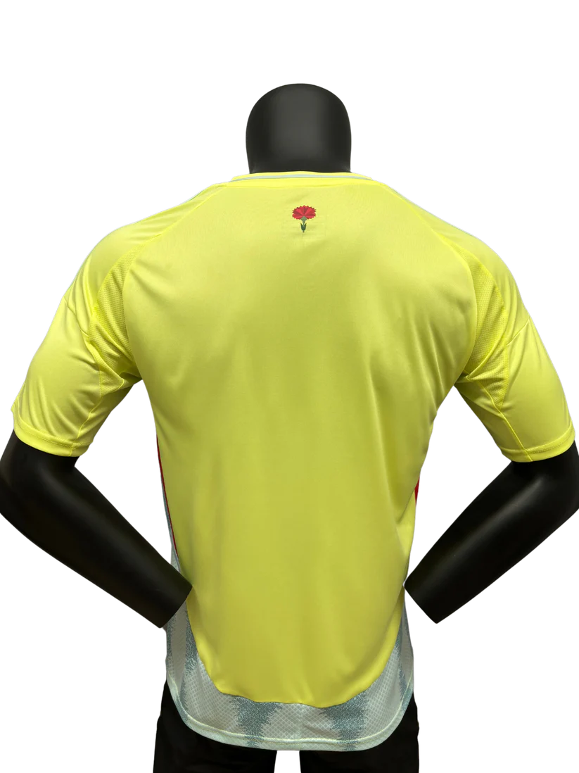 Spain EURO 2024 Away kit