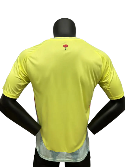 Spain EURO 2024 Away kit PRESTIGE JERSEY